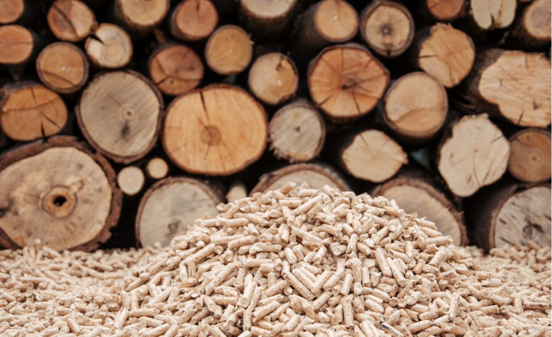 Chauffage : pourquoi le bois est-il un si bon combustible ?